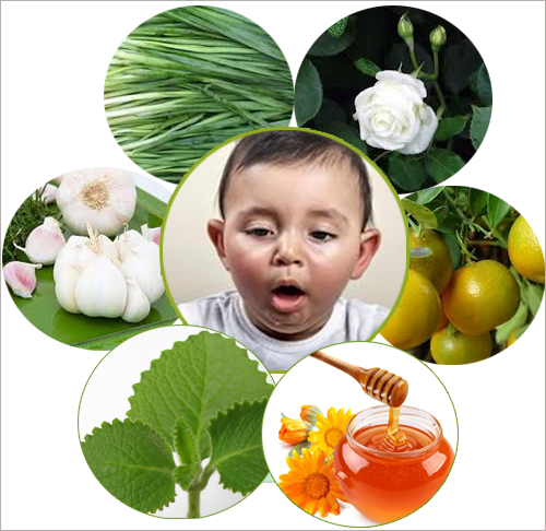 Các bài thuốc điều trị viêm phế quản hiệu quả